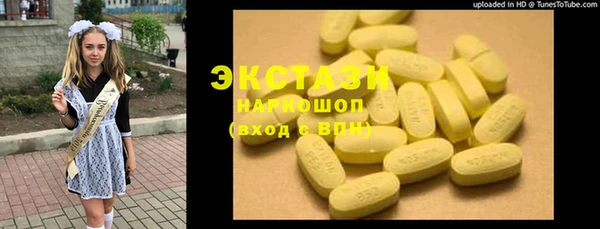 гидра Кодинск