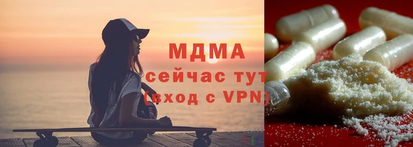 гидра Кодинск