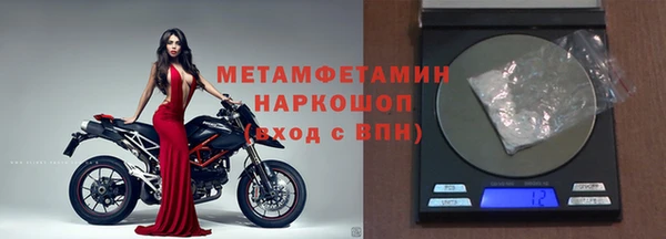 гидра Кодинск