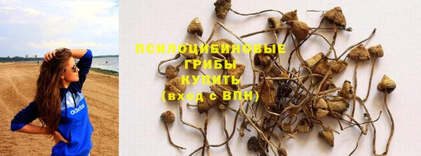 гашик Кинешма