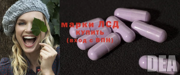 гидра Кодинск