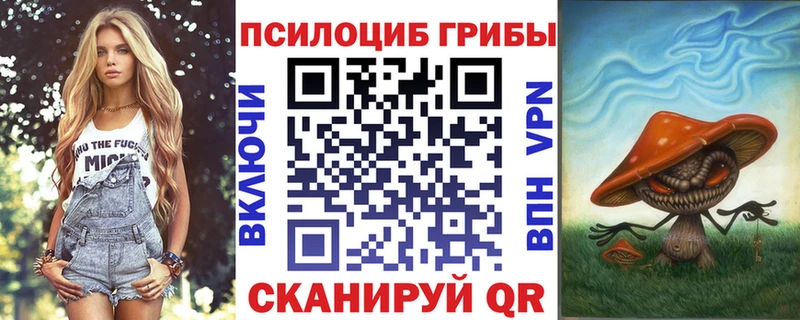 Галлюциногенные грибы MAGIC MUSHROOMS  где купить   Нижнеудинск 